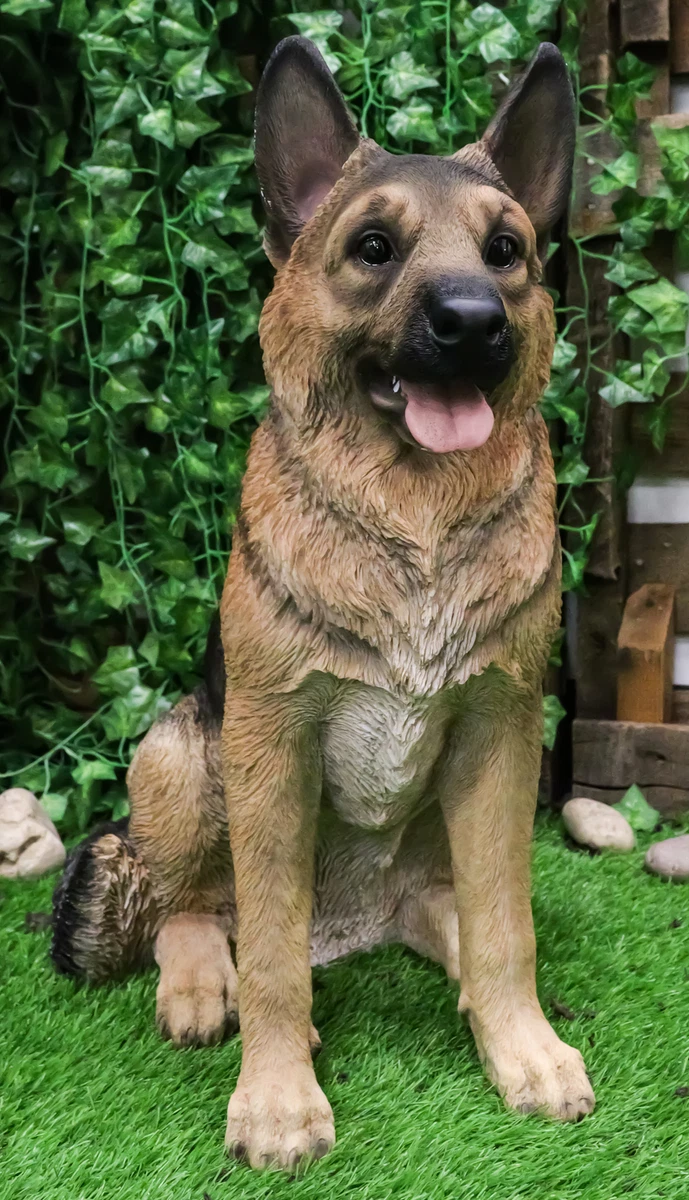 Large Lifelike Realistic German Shepherd Dog Statue With Glass Eyes 21.25