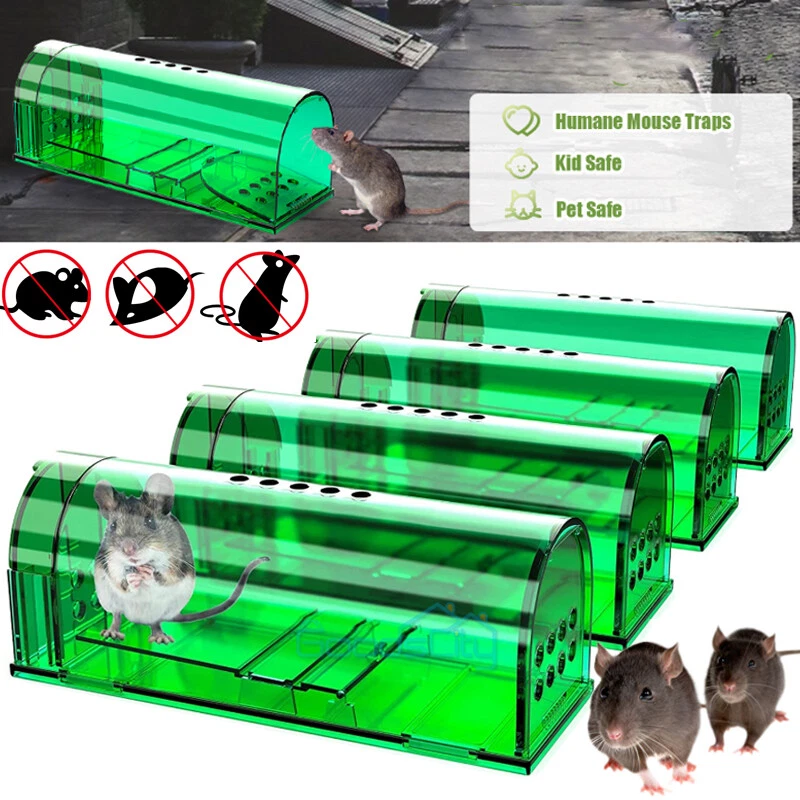 2/4x Humane Mouse Rat Traps Rodent Trap Live Catch Cage, Safe for