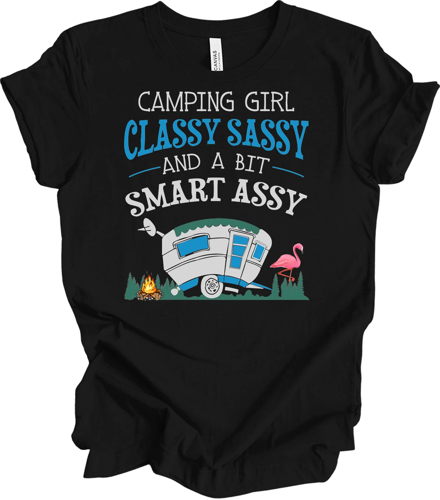 Camper Queen Classy Sassy Smart Assy Camping Girl RV Flamingo Funny Outdoor Tee