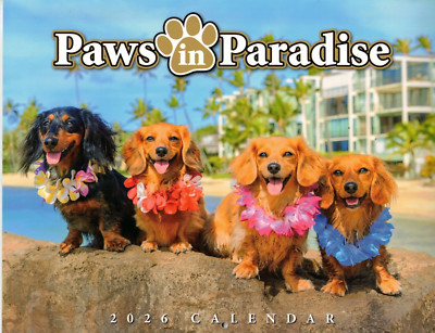 2026 Calendar Hawaii Paws in Paradise