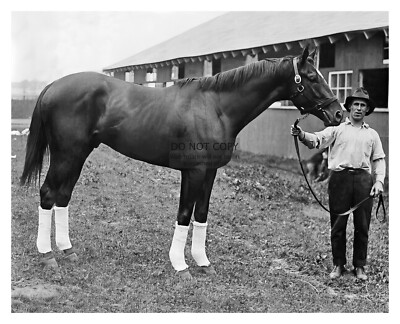 #ad #ad MAN O WAR CHAMPION THOROUGHBRED RACE HORSE 1920 8X10 PHOTO $9.96