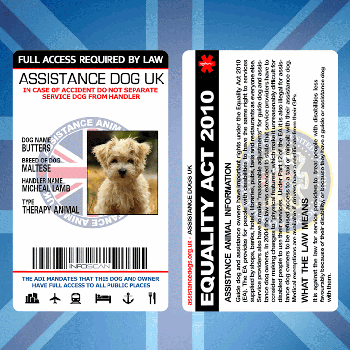 Ebay service dog id hotsell