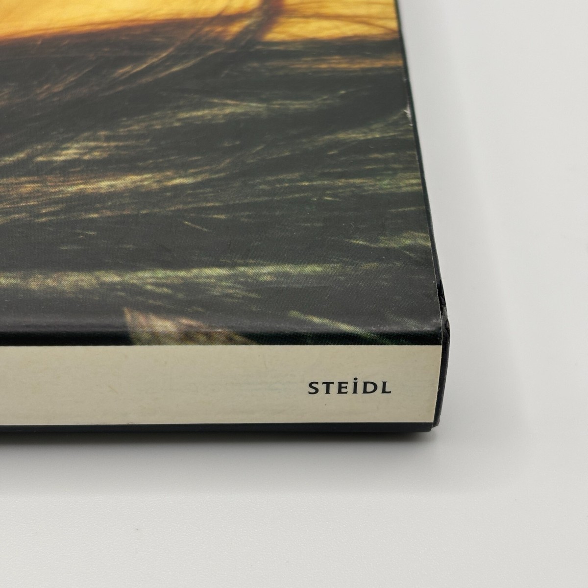 STEiDL HIROMIX Photo Book Photographer 1998 Hard cover Used