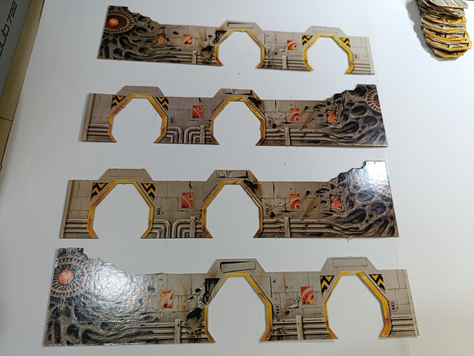 Foto 7 di 24