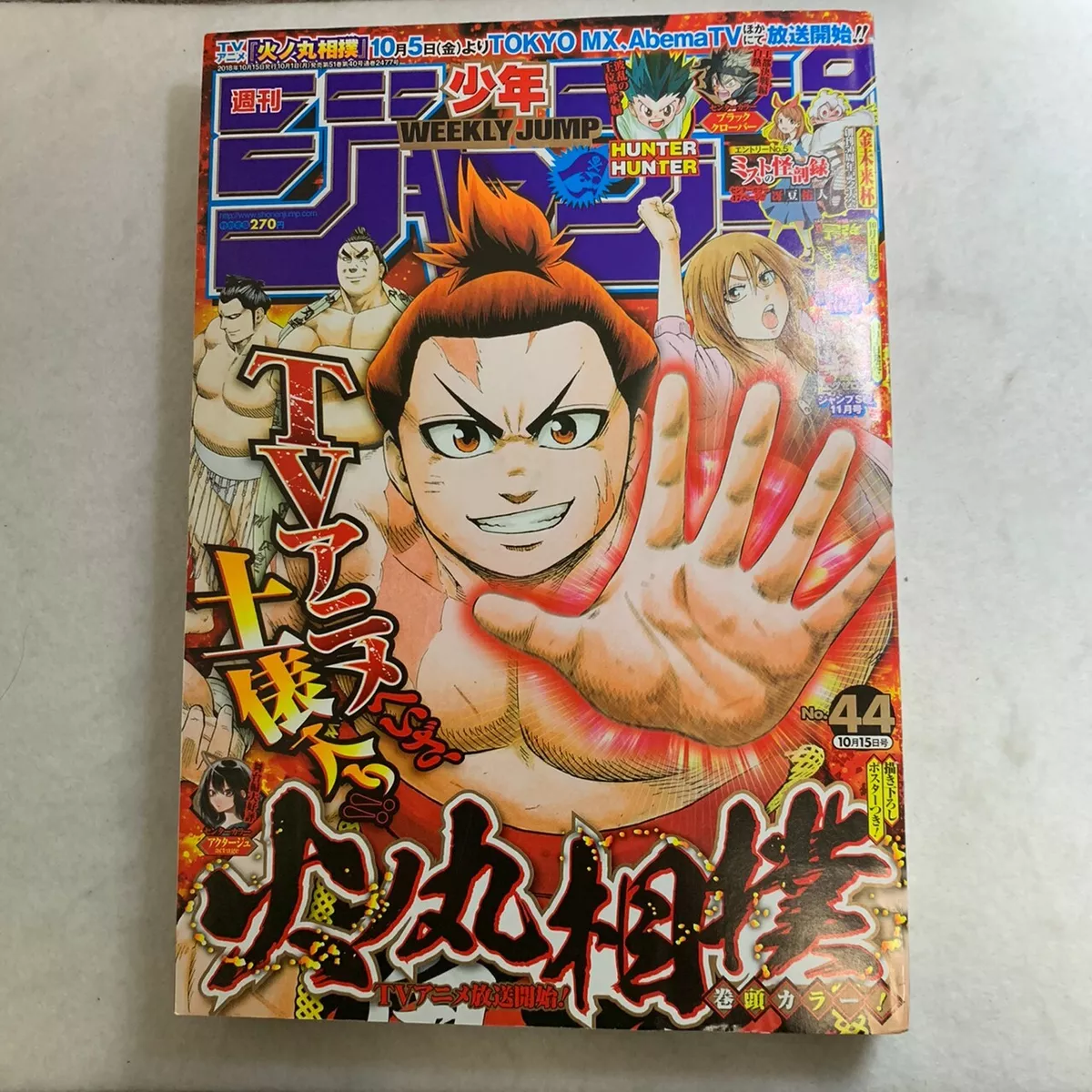 Hinomaru Sumo (2018)