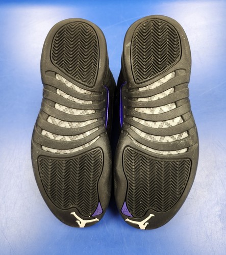 2020 Retro AIR JORDAN 12 Dark Concord (CT8013-005) Mens Size 10.5 EUC - 第 8/16 張圖片