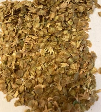 20+ River Birch, (Black Birch), Betula nigra, Tree Seeds Fast, Hardy, Fall Color