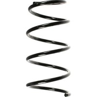 Spidan 49387 Fahrwerksfeder FüR Renault Megane BA0 1
