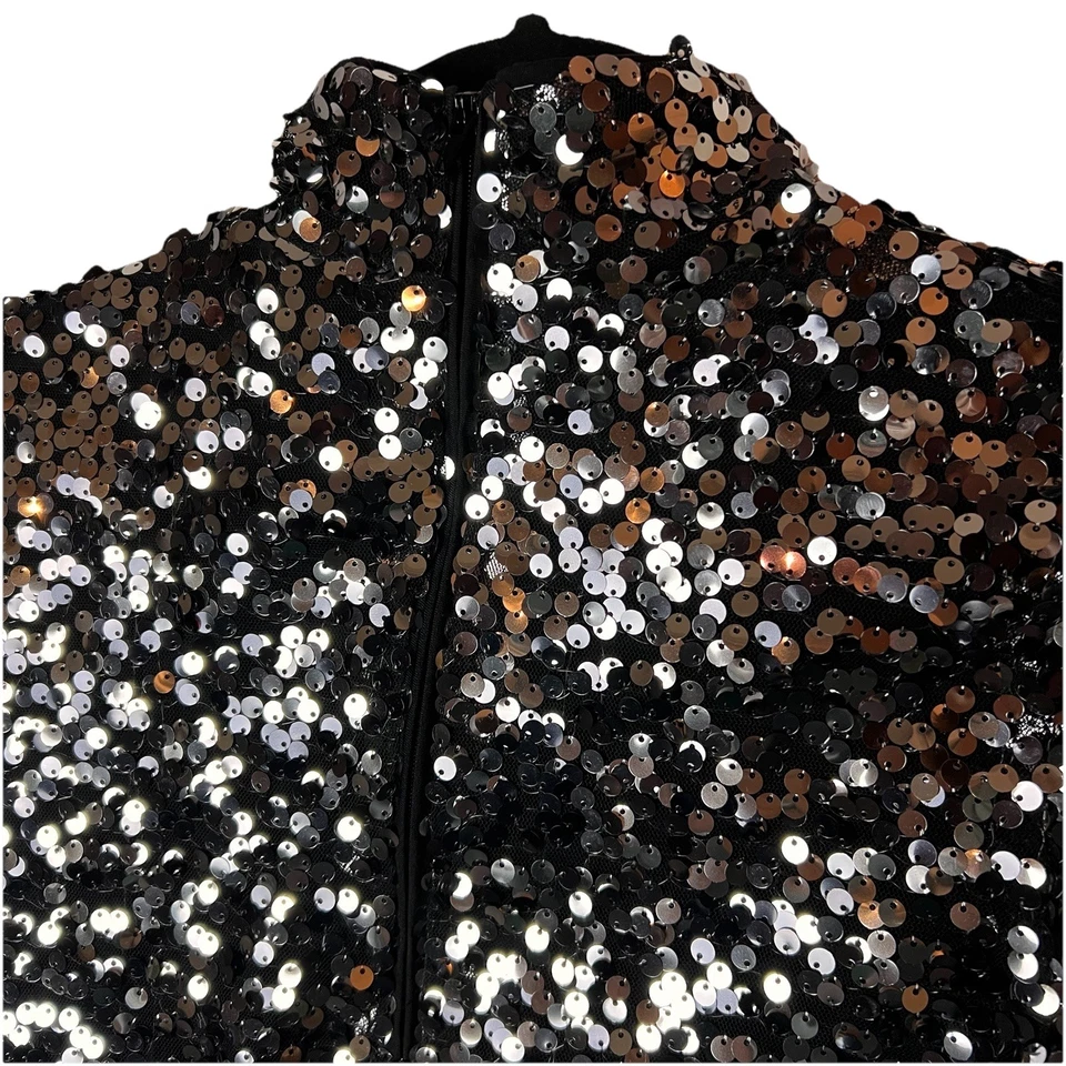 NUEVO CON ETIQUETAS H&M Blusa Estilo Cuello Tortuga Lentejuelas Plateadas Brillante Manga Larga Talla S Foto 4 de 4