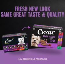 5 Packs Cesar Classics Adult Wet Dog Food - Loaf, 36 Count