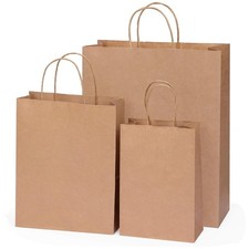 100pc Brown Paper Bags with Handles Bulk Brown Gift Bags - Assorted Sizes for Pa
