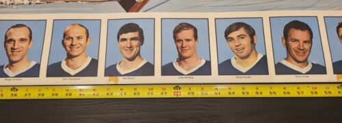 Vintage 1969 NHL Post All-Star featuring Bobby Orr 74”x26” - Picture 9 of 12