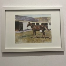 Grundy Enjoying The Sun Framed Print By Peter Biegel