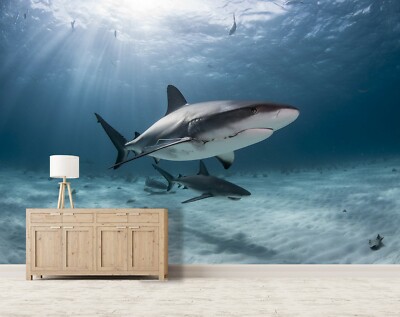 3D Sunshine Shark D1153 Animal Wallpaper Mural Self-adhesive Removable Honey