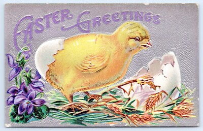 1910 Easter Greetings Postcard-Baby Chick Hatching from Egg, Flowers, Wheath