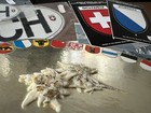 Bild 6 von 17