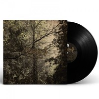 DÄMmerfarben - Herbstpfad [Black Lp]