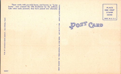 Postal Cuernos Largos del Ole Southwest Lino Sin Publicar - Imagen 2 de 2