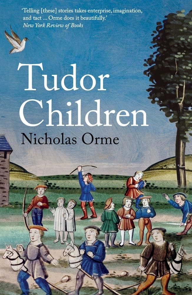 Tudor Children by Nicholas Orme PAPERBACK - Image 2