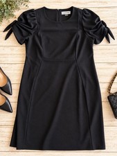 Calvin Klein Ruched Sleeve Little Black Dress – Women’s Plus Size 22W