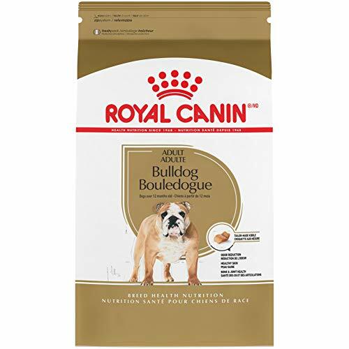 dog food for sale online