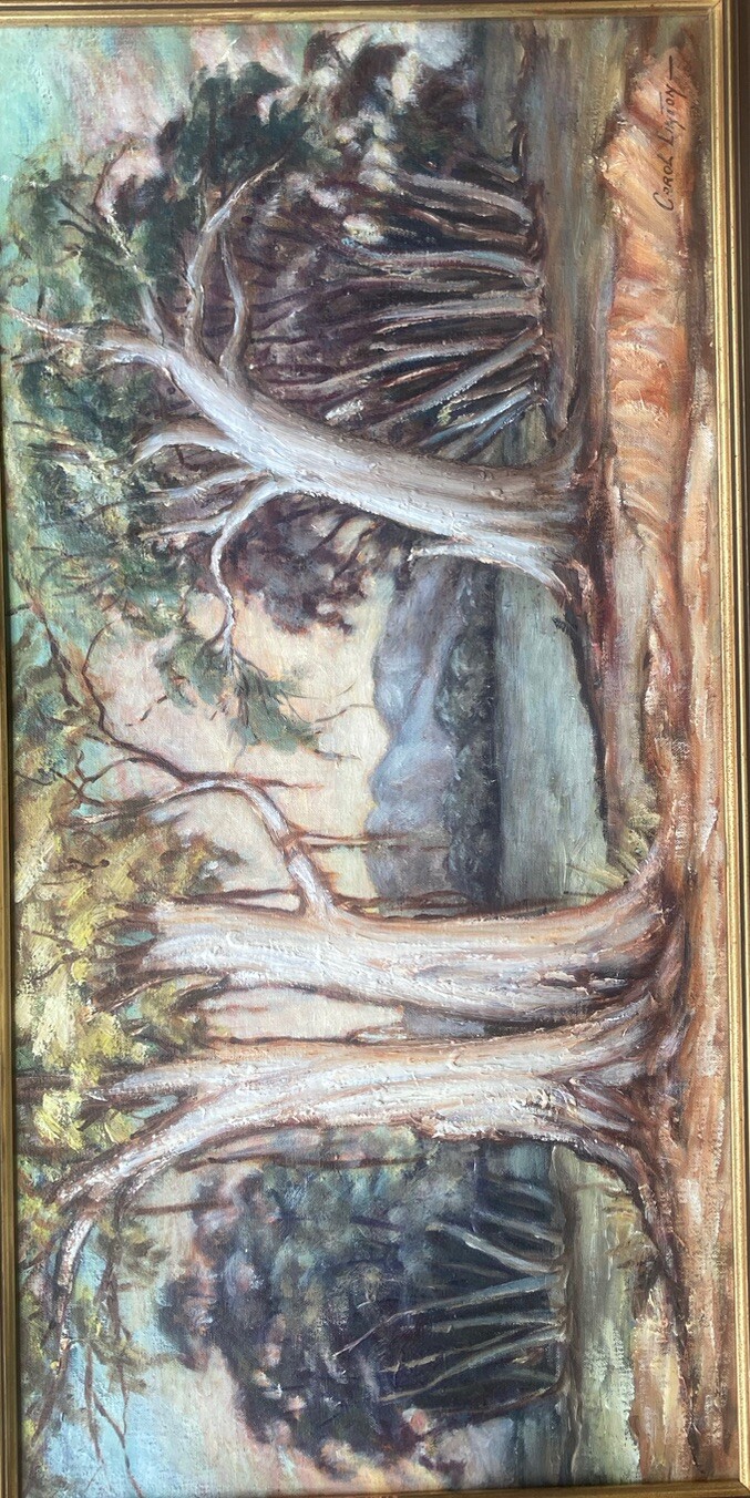 Picture 2 of 12