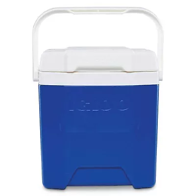 Igloo hotsell quantum cooler
