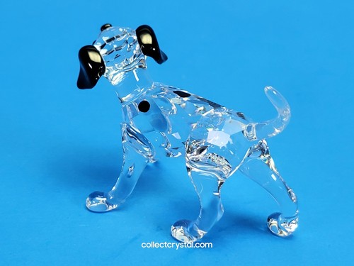 Swarovski DALMATIAN PUPPY STANDING 628947 - Picture 6 of 10