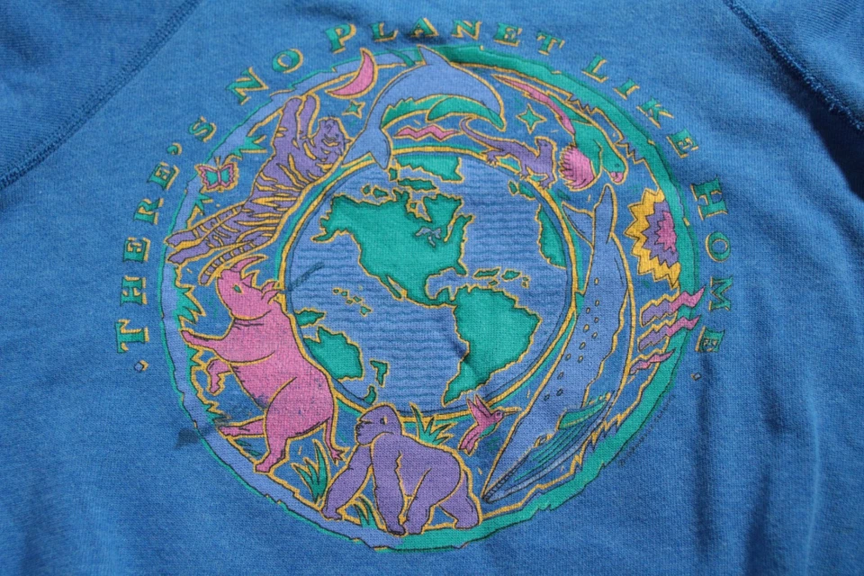 Винтажный свитшот 90-х молодежный M 10-12 There's No Planet Let Home Hanes Earth - Изображение 2 из 4