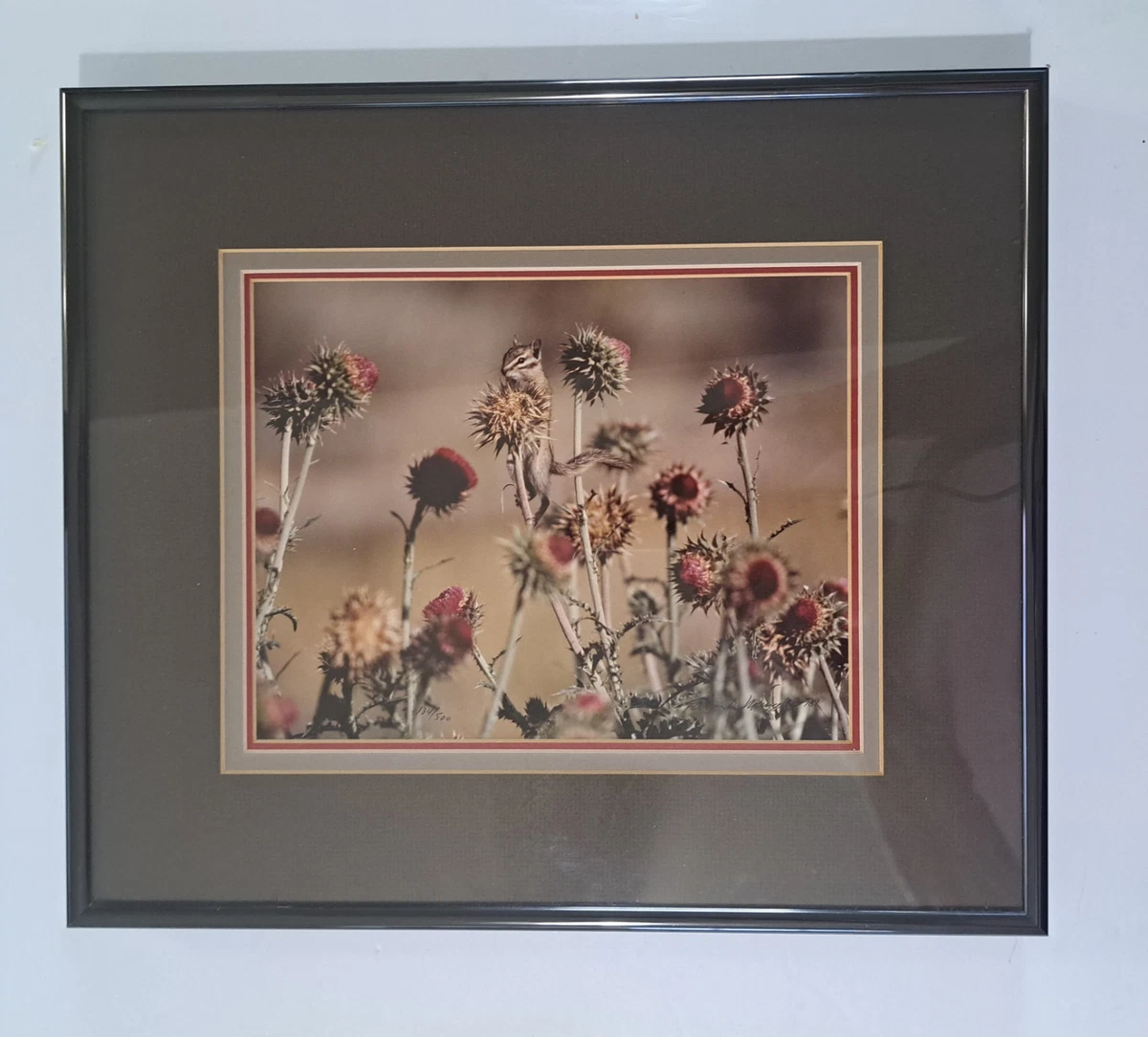 Landscape Color Art Photographs for sale | eBay