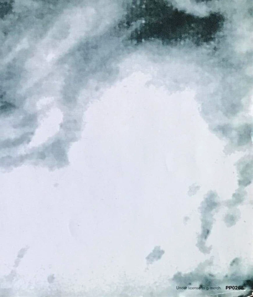 Rage Against The Machine Burning Monk Vintage Poster 24 x 34 - Image 2 of 3