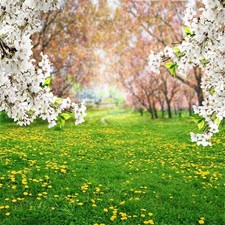 7x7ft Spring Scenic Backdrop Sweet Flowers Photography Background Meadow Flor