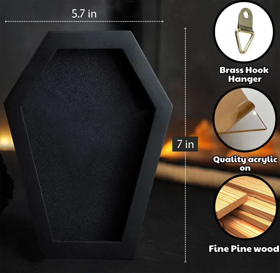 Gothic Christmas Decor Real Death Head Moth Coffin Frame Taxidermy Insect - Image 4 of 4