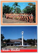 2 Postcards WEEKI WACHEE SPRINGS, FL ~ Entrance MERMAIDS Bathing Beauties 4"x6"