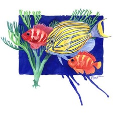 Ceramic Backsplash Tile Mural Fishing Saltwater Fish - Clown Surgeon Fish
