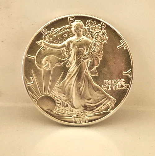 1987 Walking Liberty Dollar American Eagle 1 Oz Fine Silver Coin EXC COND