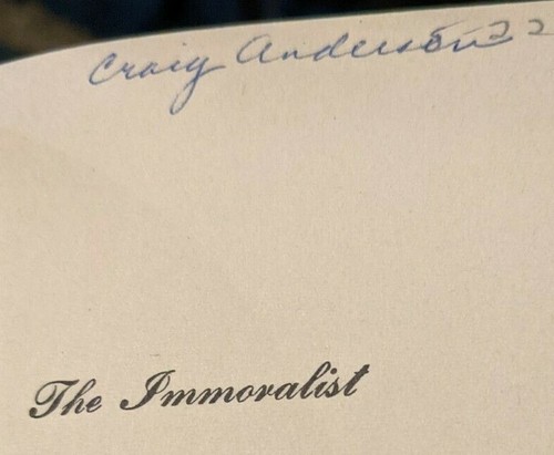 The Immoralist - André Gide 1958 Vintage Paperback V-8 *Benefits PP of Texas* - Picture 3 of 9