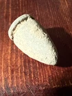 Dug Civil War 💥 🇺🇸 💣 Scarce Confederate Maynard Bullet