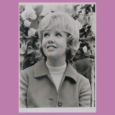 Disney That Darn Cat!   Hayley Mills B&W Portrait Studio Photo