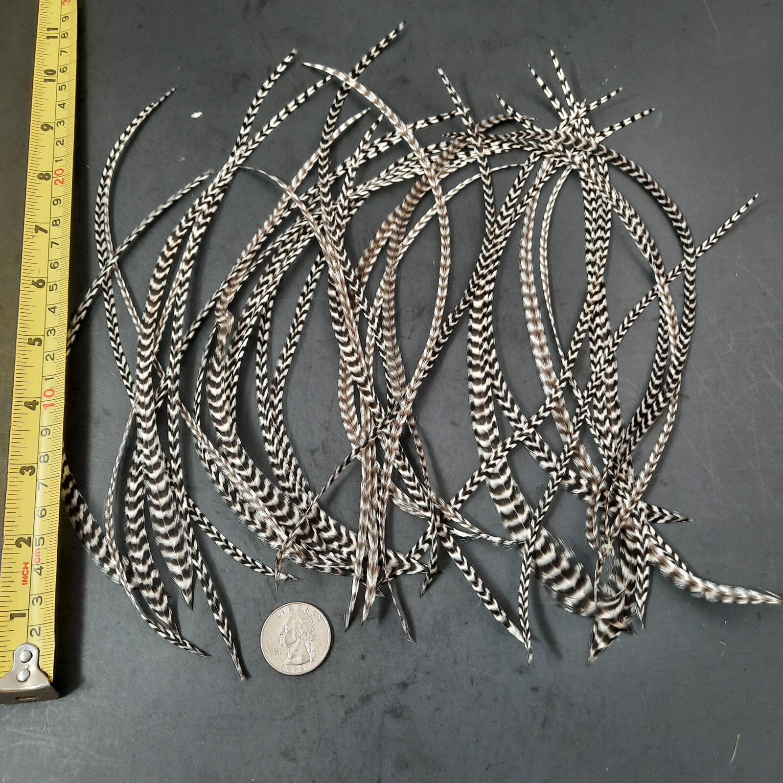 Picture 2 of 7