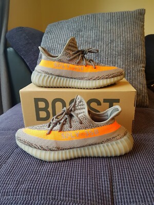 beluga v2 restock