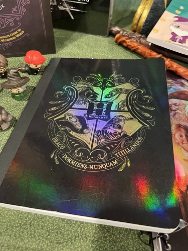 Harry Potter Lot, Wands, Notebooks, Figurines, Binder, Blanket, How to draw, Etc - Picture 4 of 12