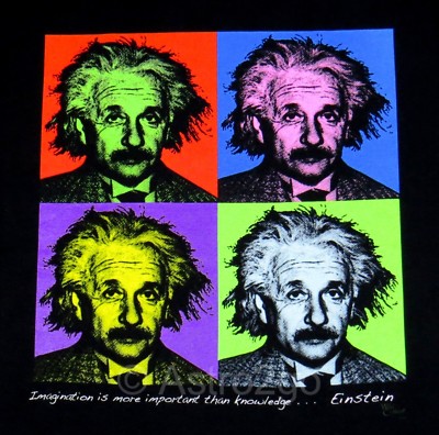 4 EINSTEINS-IMAGINATION..IMPORTANT..KNOWLEDGE--Warhol Art Science T shirt S-3XL