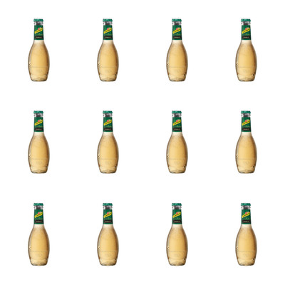 8414100988120 Schweppes Selection Mixer Ginger Ale 200ml X12 Orangina Schweppes 