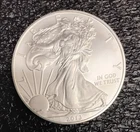 2013 American Silver Eagle 1 oz .999 Fine Silver