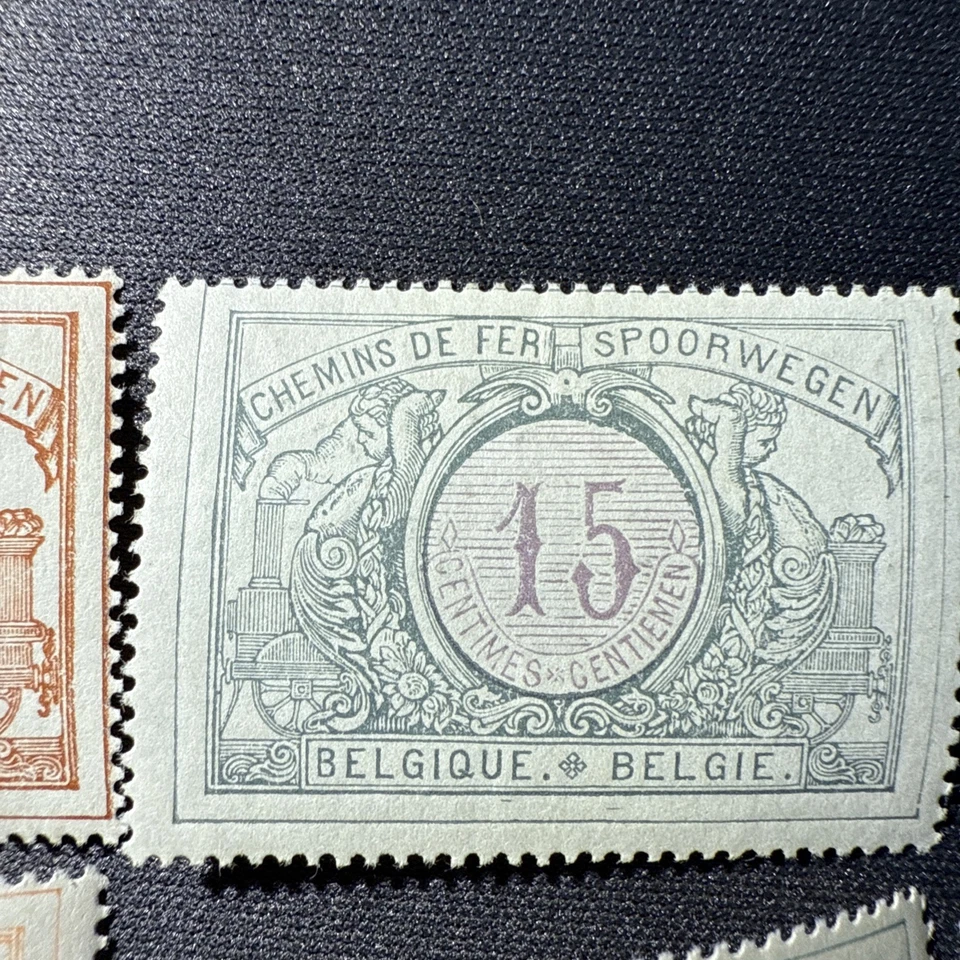 Lote de estampillas ferroviarias BÉLGICA - Lote de 10 estampillas postales paquete 1902 MH Foto 3 de 4