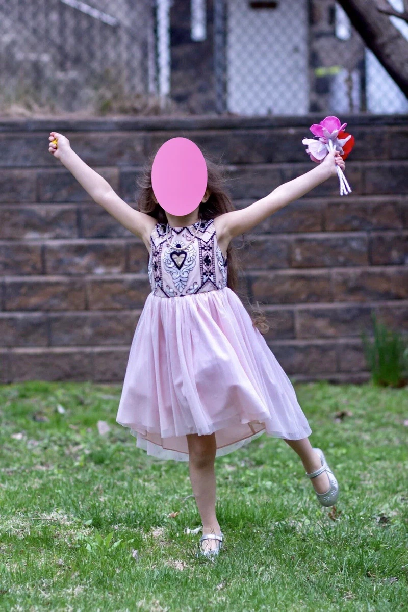Pippa and cheap julie embroidered dress
