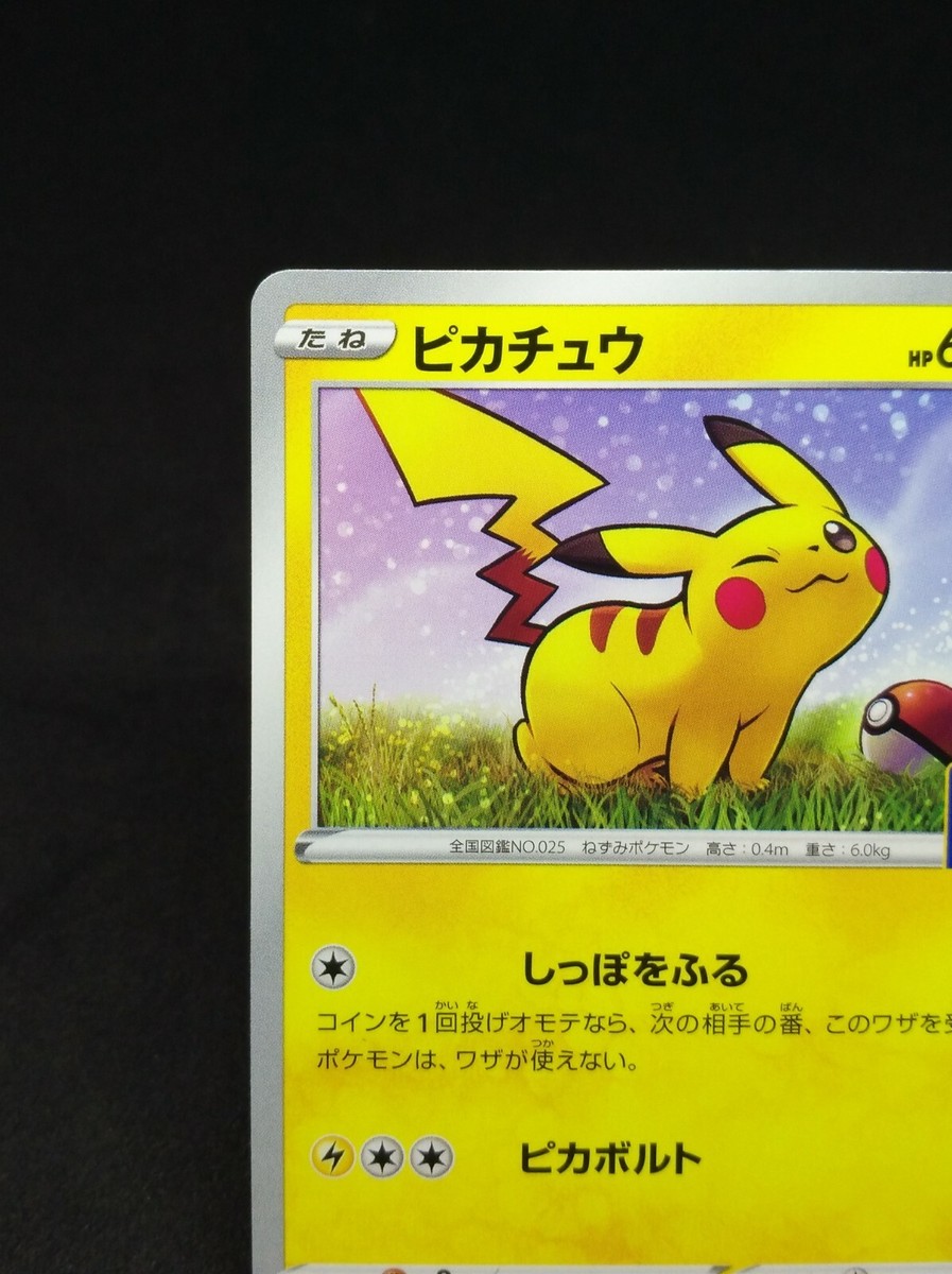 Pikachu Pokemon Card PROMO D 024/S-P 2019 Japanese Nintendo