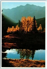 Postcard - Autumn Hues Color the Rockies