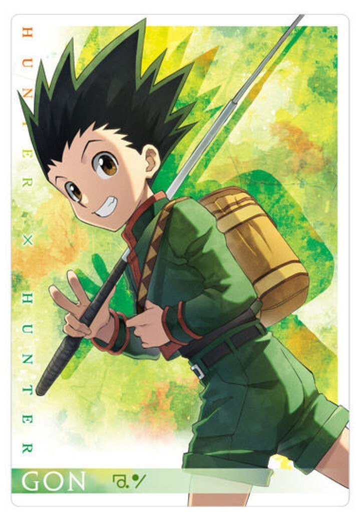 Hunter×Hunter カード 1 HUNTER×HUNTER ハンターハンター カットカード BOX付き